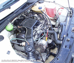 Golf II Cup